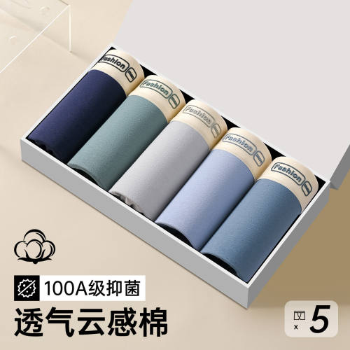 Caxltz Kgcmd纯棉男生四角内裤大码短裤头透气简约平角裤