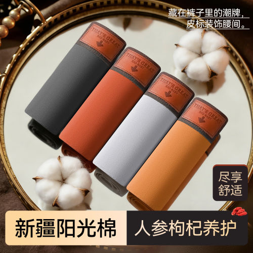 Caxltz Kgcmd内裤纯棉男生四角短裤头商务风透气平角裤