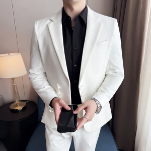 新中式风西服韩版修身西装套装2507-P195图片