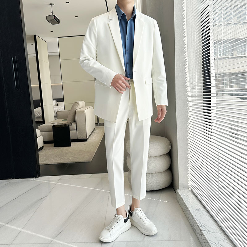 春夏薄款宽松休闲垂感简约西服套装1829-P205,男装西服套装,星座1606-1
