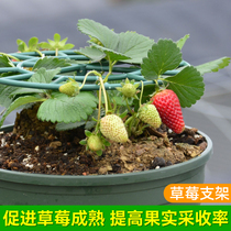 草莓支架家庭种植托盘架绿植防倒伏园艺用品植物果实草莓支撑架子