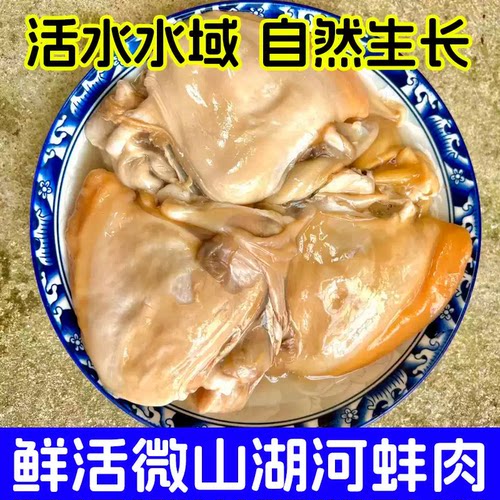 微山湖新鲜淡水大河蚌活体蚌河蚌肉生态去壳净肉鲜活水产速冻包邮