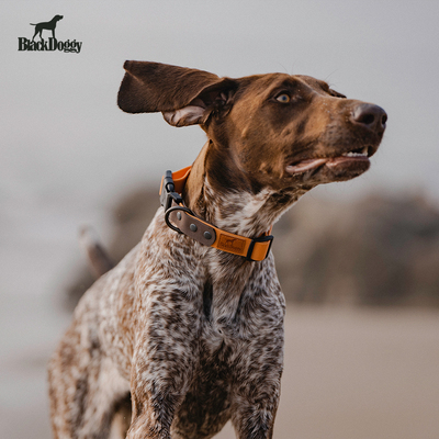 blackdoggy复古防水项圈牵引绳