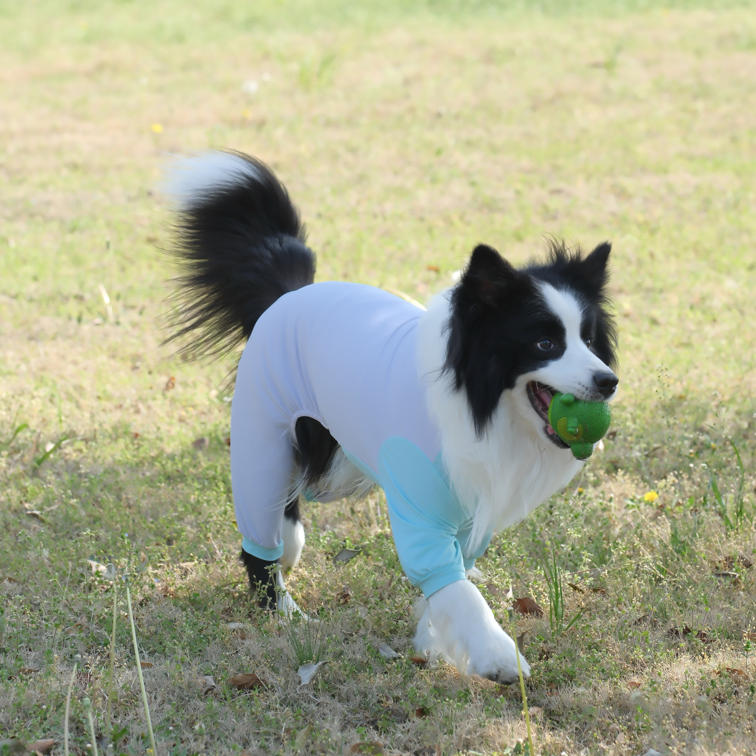 狗狗冰丝凉感四脚防护衣户外防尘防晒防虫四脚衣全能凉凉衣