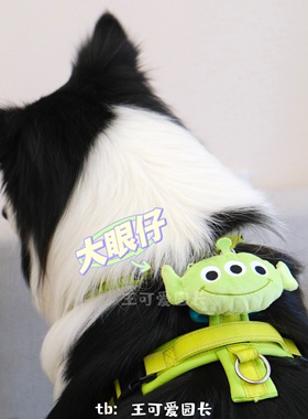 王可爱园长Hakusan零压力Y字胸背狗狗外出背心反光不歪斜柔软