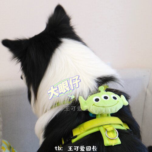 可爱园长hakusan压力狗狗外出