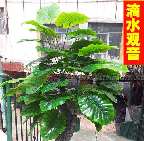 植物招财滴水客厅落地仿真树