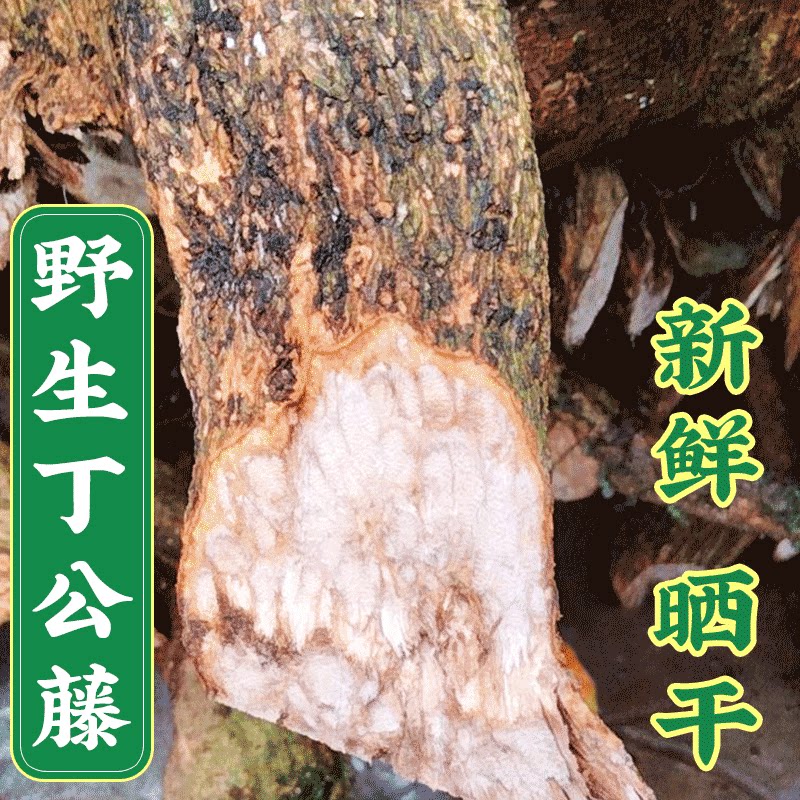 高品质野生丁公藤无硫中药材麻辣子搜山虎包公藤正品干货500克