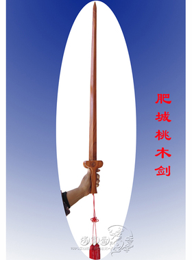 桃木剑道士作法施法八卦太极剑