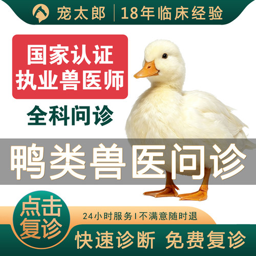 异宠医生宠物医生24小时在线问诊鸭看病兽医禽类医生鸭问诊柯尔鸭