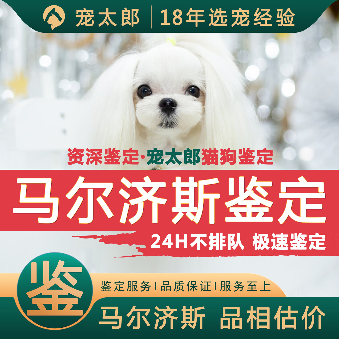 马尔济斯┃不推销活体┃包准