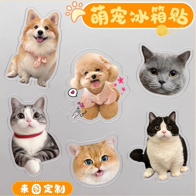 高透高清萌宠冰箱贴定制照片DIY