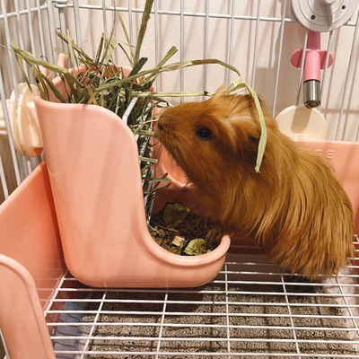 小宠二合一挂式草架防打翻食盆