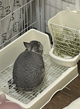 拉士格超大号兔子厕所宠物 安哥拉兔特大防掀屎尿盆便盆加高双层