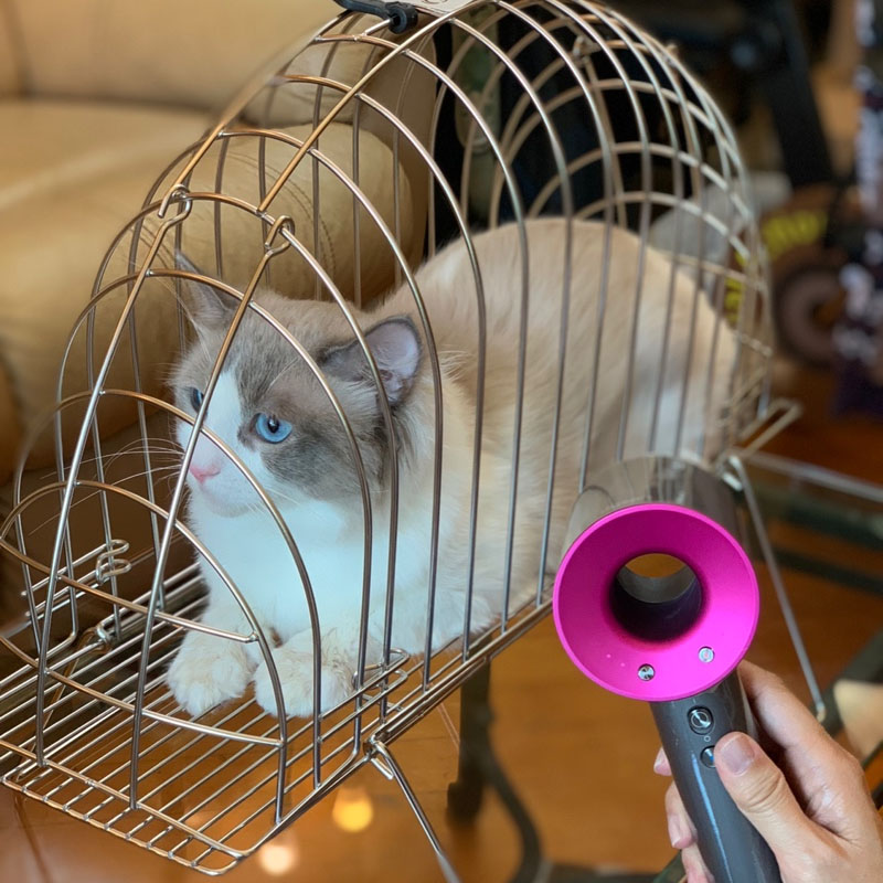 拉士格不锈钢6代洗猫专业猫笼子