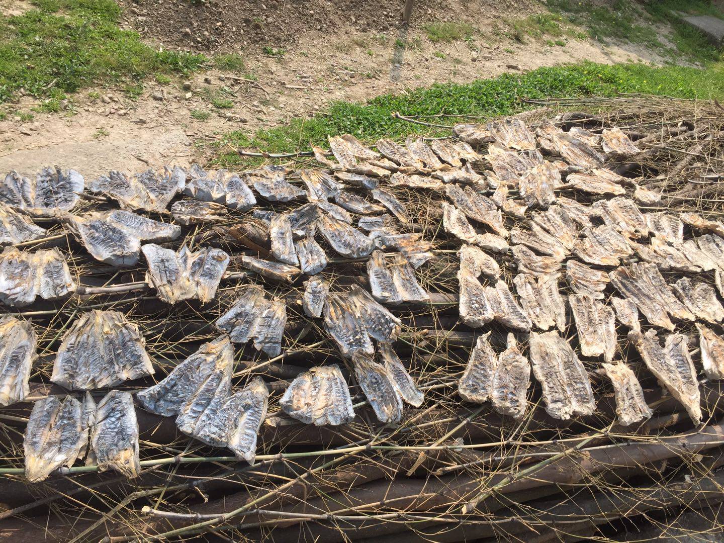 年货新款农家特产干咸新货四明山毛笋自制干货嫩笋尖500克