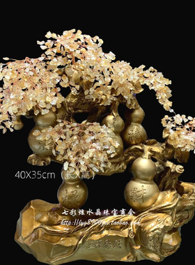 发财树葫芦风水搬家客厅桌面新品