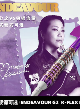 TARGET探极ENDEAVOUR GEN2 90钨钢软硬镖佐藤かす美直筒22/24飞镖