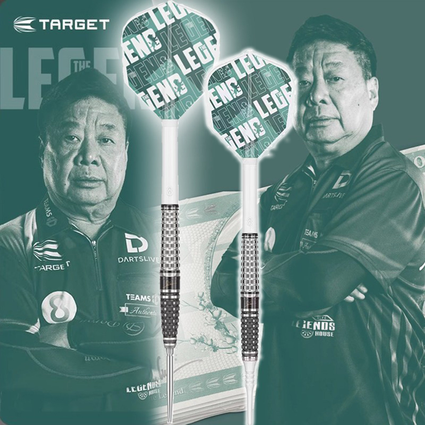 保罗林飞镖TARGET新款硬式20克
