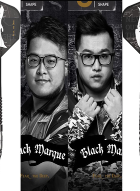 TARGET探极BLACK MARQUE WILD/ARMAGEDDON 2代 专业钨钢软式飞镖