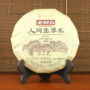 中茶蝴蝶2023年5611老白茶人间生草木福鼎花香白牡丹饼357克 饼