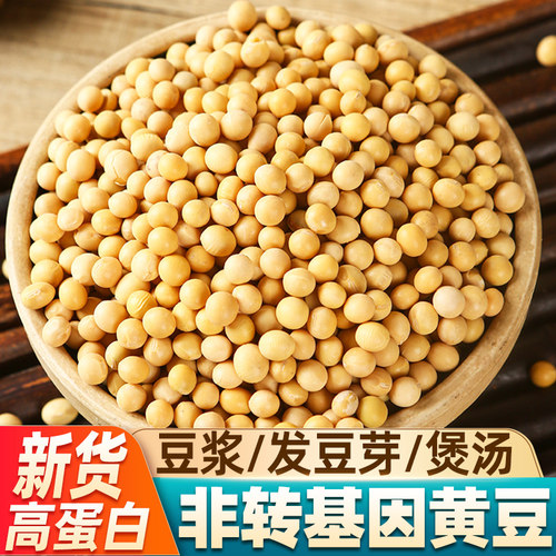 当季豆子黄豆新大豆非转基因早餐打豆浆发豆芽用农家黄豆五谷杂粮