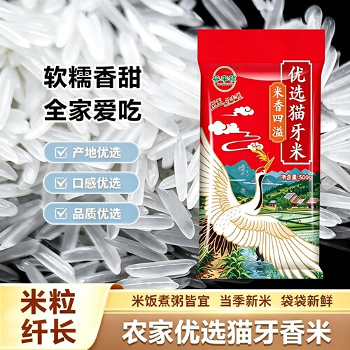 江西猫牙米大米长粒香米当季新米