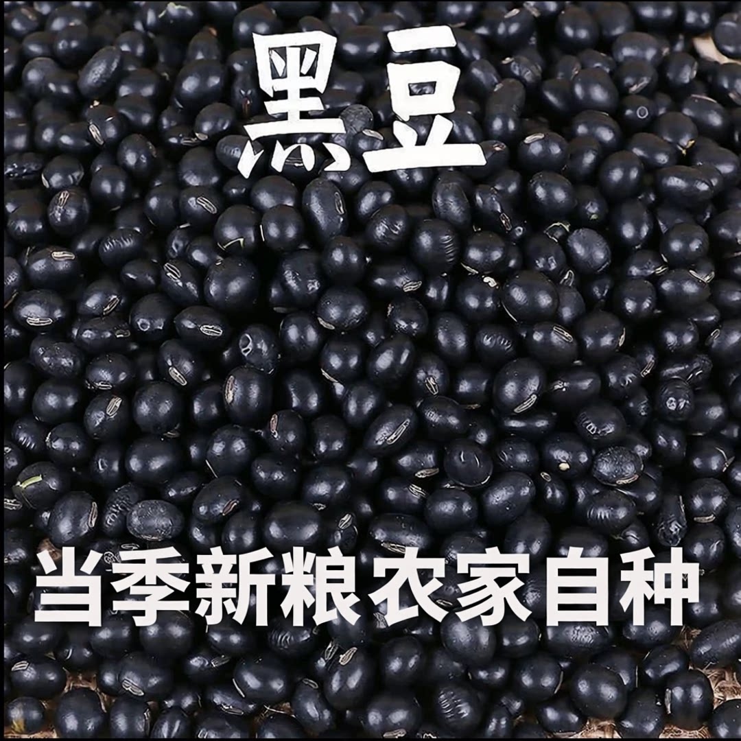 农家自种黑豆当季新粮颗粒饱满