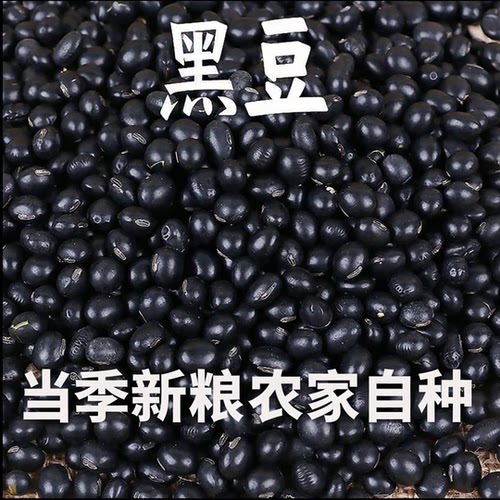 农家自种黑豆当季新粮颗粒饱满
