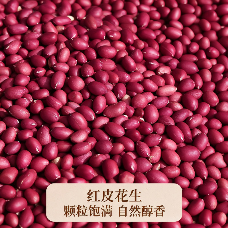 山东红皮花生米农家四粒红红衣花生米子无壳袋装坚果新货生花生仁