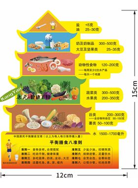 中国居民膳食宝塔冰箱贴软磁