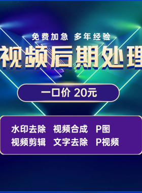 专业视频编辑修改去水印改文字