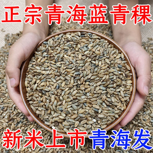 正宗青海青稞米优选粗杂粮糖尿人缓升糖孕妇西藏青稞 产地直发