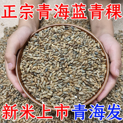 【产地直发】正宗青海青稞米优选粗杂粮糖尿人缓升糖孕妇西藏青稞