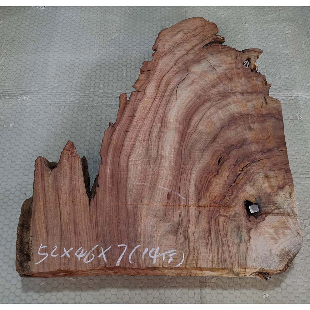 千年老红香樟陈化老料原木切片底座珠子料雕刻料挂件摆件香熏