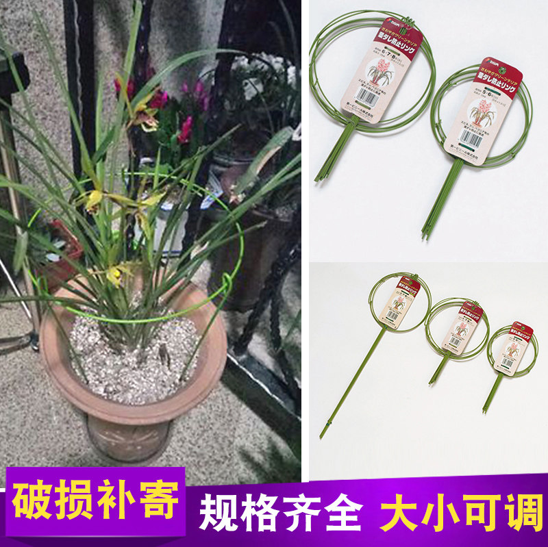 园之助兰花君子兰蝴蝶兰支架盆栽植物花托叶子支撑花卉支撑架子图片