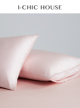 A类60支兰精天丝纯色枕套一对装48x74凉感冰丝枕头套夏季枕芯套