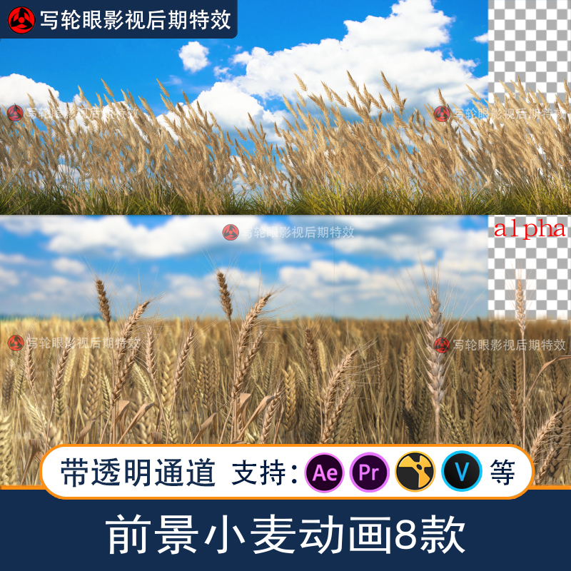 小麦麦田视频素材风吹麦浪动画素材粮食作物前景特效带透明通道