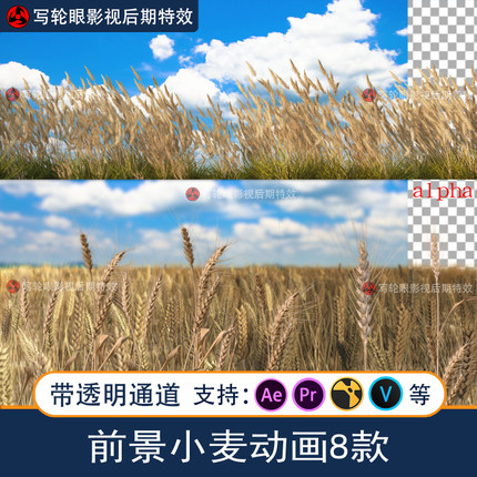 小麦麦田视频素材风吹麦浪动画素材粮食作物前景特效带透明通道