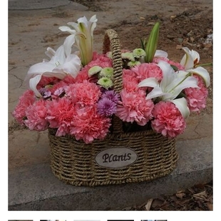 成都青羊区府南新区杜甫草堂青羊宫人民公园鲜花店蛋糕店速递玫瑰