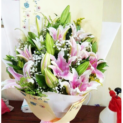 娄底娄星区万豪春园步行街火车站石马公园鲜花店520配送玫瑰