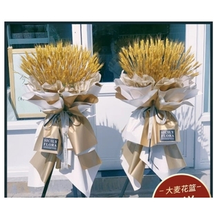 上海闵行区梅陇镇吴泾镇马桥镇浦江镇莘庄鲜花店配送开业花篮乔迁