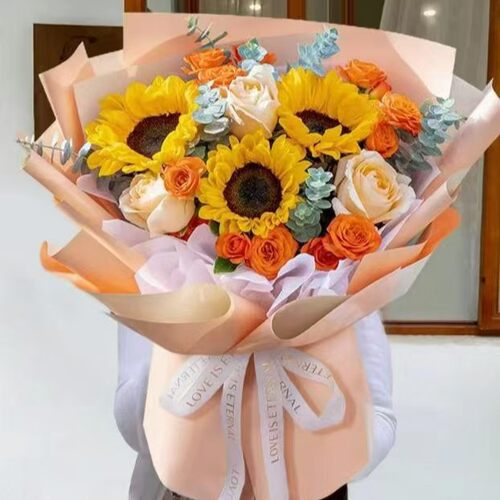 黄山屯溪黄山区徽州区歙县休宁黟