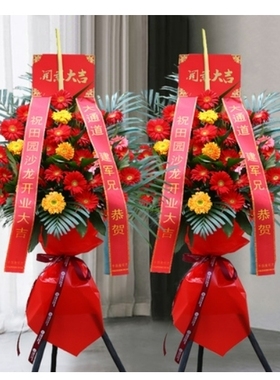 涟源市伏口镇桥头河镇七星街镇杨市镇鲜花店配送开业花篮乔迁