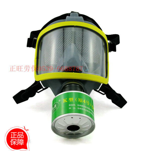 滤毒罐面罩硅胶硫化氢