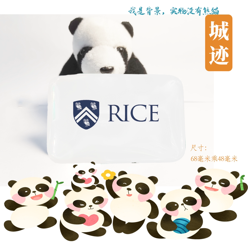 rice university莱斯大学冰箱贴莱斯大学纪念品手信冰箱贴