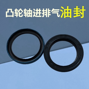 适配爱丽舍富康16V世嘉塞纳毕加索凯旋C5世嘉凸轮轴油封偏心油封
