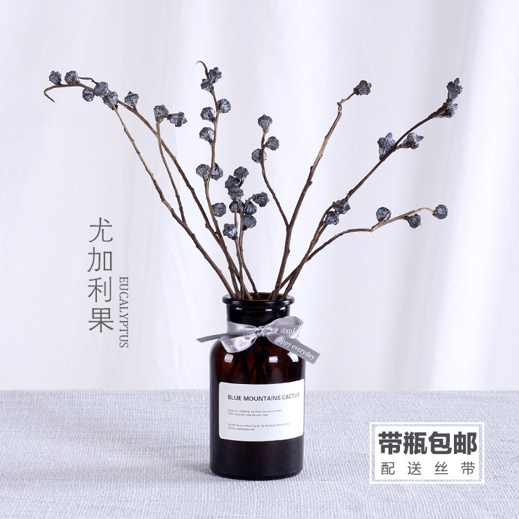 漫生活干花尤加利果干枝花束家居装饰摆件带瓶小清新北欧ins风