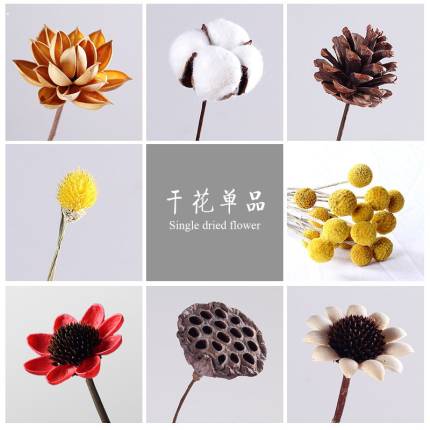 漫生活干花花束手工艺术兔尾草棉花松果插花家居装饰摆件摄影道具