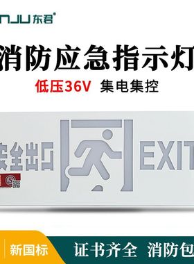 东君照明DJ-01D智能控制系统36V电压集中电源疏散指示灯安全出口